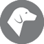 Animaux admis sous conditions Animaux admis sous conditions